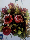 Special Protea